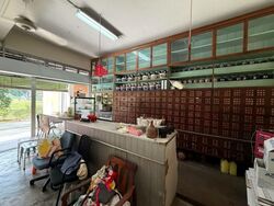 Owen Road (D8), Shop House #601312251